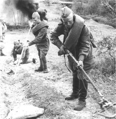 Военно-морской флот в Великой Отечественной войне - История России в  фотографиях