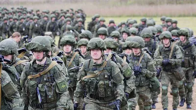 Культура косяка» как одна из основ современной российской армии