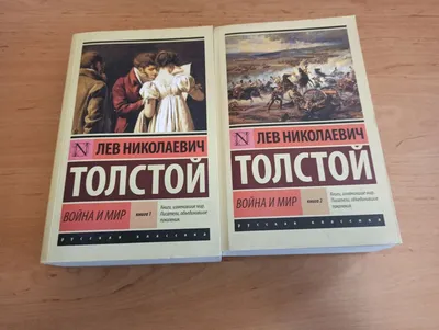 Книга Война и мир. Том I-II Толстой Л.Н. - купить классической прозы в  интернет-магазинах, цены на Мегамаркет |