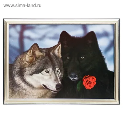 Картина \"Волчья любовь\" 28х38 см (4742788) - Купить по цене от 253.00 руб.  | Интернет магазин SIMA-LAND.RU