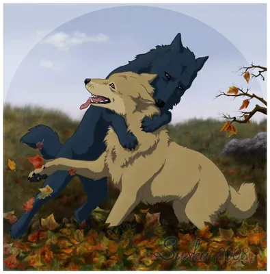 Wolf's Rain - My Anime Shelf