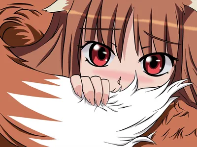 Плакат Волчица и пряности | Spice and Wolf 01 (ID#1220926322), цена: 30 ₴,  купить на Prom.ua