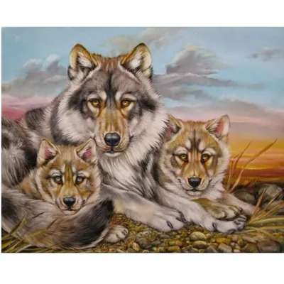 Фото Волчица с волчатами в лесу