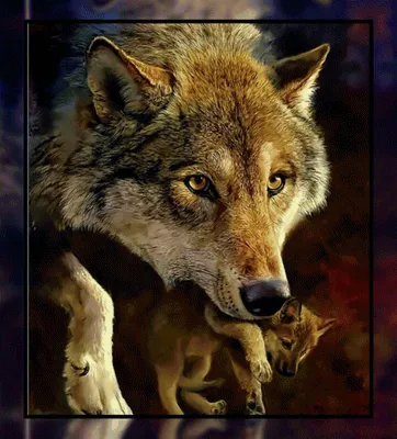 Волчица и волчата