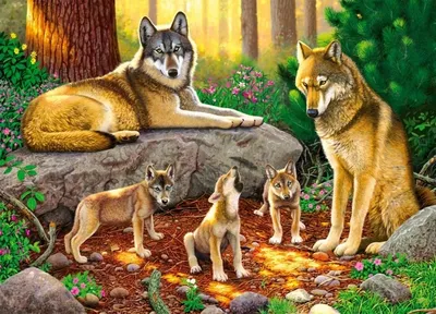 Фото Волчица лежит на земле с выводком волчат