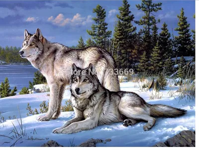 Раскраски Раскраска Волчица с волчатами , Раскраски .