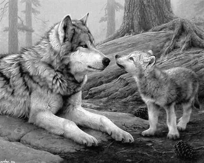 Картина волчица и волчата купить — купить по низкой цене на Яндекс Маркете