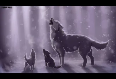Фото Волк с волчатами в снегопад