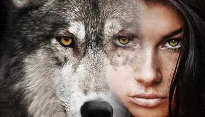 Женщина-Волчица | Женская ПсихоЛогика | Дзен