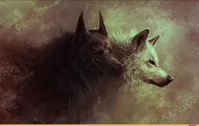 красивые картинки :: Знаменитости :: звери :: волк :: волчица :: art (арт)  / картинки, гифки, прикольные комиксы, интересные статьи по теме.