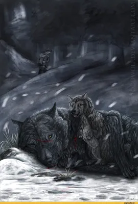 Повесть о волчице по имени Ди. 7. Возвращение матери-волчицы | Летопись  живой природы | Дзен