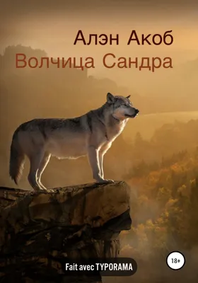 Волк и волчица - на подрамнике, TN558 - купить Рисование камнями, алмазная  техника | CultMall