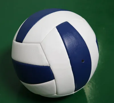 Купить Мяч волейбольный GALA 230 Light 10 BV5651S в Екатеринбурге на  Sport-timepro недорого, бесплатная доставка
