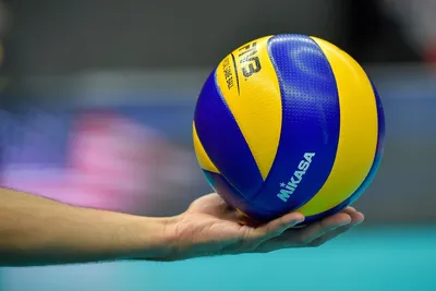 Мяч волейбольный синий цвет — купить за 599 руб в интернет-магазине Demix