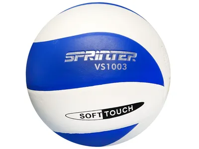 Значок Волейбольного Мяча Изолированный Символ Волейбольного Мяча Вектор —  стоковая векторная графика и другие изображения на тему Beach Volleyball -  iStock