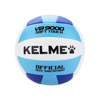 Мяч волейбольный Torres BM 850 | Легион