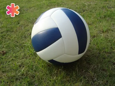 Мяч волейбольный MIKASA V355W