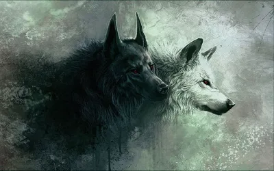 Черно-белый волк воет на луне: стоковая иллюстрация, 1038963013 |  Shutterstock