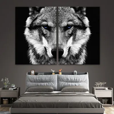 Чёрно белый волк (33 лучших фото)