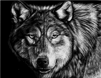 Магнит «Волк» (черно-белый) - купить в Славянской Лавке