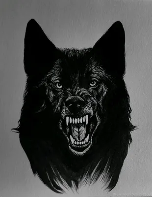 Наклейка на авто Черно-белый красивый волк голова животного вектор - купить  по выгодным ценам в интернет-магазине OZON (707361335)