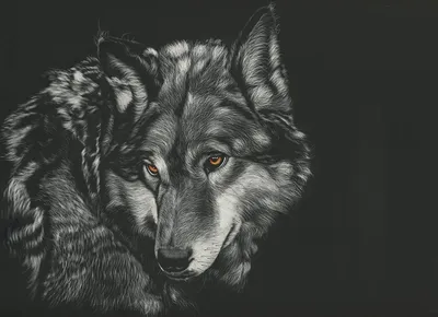 Схема вышивки «Волк черный» (№864401) - Вышивка крестом