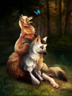 Любовь лисы и волка арт - 72 фото