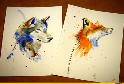 Картинки волк и лиса любовь - 71 фото