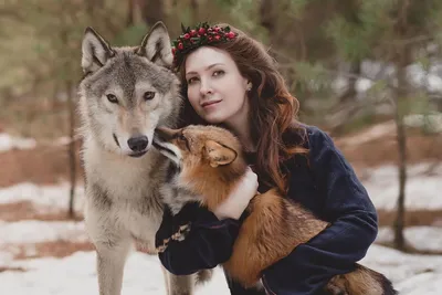 Волки и лисы (45 лучших фото)