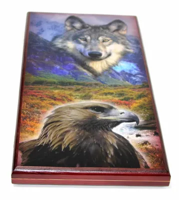 Набор фигурок Terra Лесные Животные: волк, медведь, орел (AN2807Z) купить в  интернет магазине с доставкой по Украине | MYplay