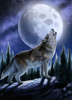 Картина на холсте \"Волк воет на луну\"
