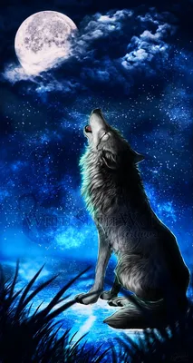 Картина по номерам \"Волк воет на луну\" PBN0084, размер 40х40 см