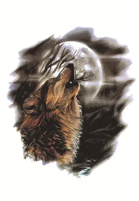 волк воет на луне. пейзаж в круге Иллюстрация штока - иллюстрации  насчитывающей звездочки, вопль: 216622195