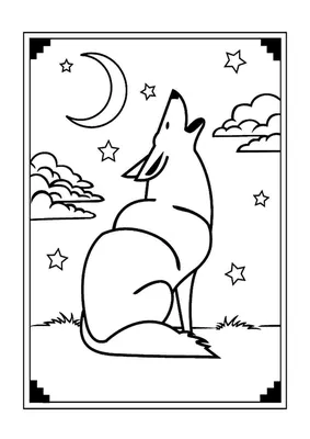 Картинки волк в лесу воет на луну (69 фото) » Картинки и статусы про  окружающий мир вокруг