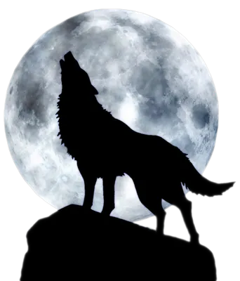 Алмазная мозаика \"Волк воет на луну\" (30х40 без подрамника) (id 111877647),  купить в Казахстане, цена на Satu.kz