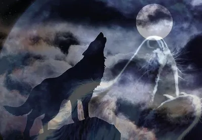 волк воет на луну в глубоком темном горном лесу. Луна сияет на небе  Иллюстрация штока - иллюстрации насчитывающей картина, икона: 273382066