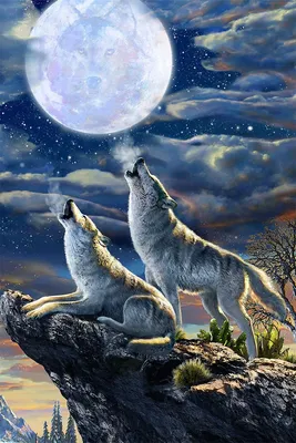 3д ночник - Светильник \"Волк воет на луну\" - купить по выгодной цене |  Ночники Art-Lamps
