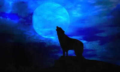 волк воет на луну в стиле 2D на Illustrators.ru