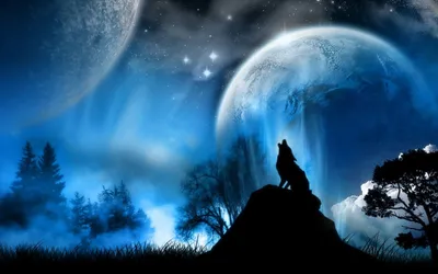 Волк воет на луну, фото …» — создано в Шедевруме
