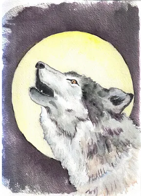 Волк для срисовки и луна (23 шт)