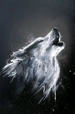 Иллюстрация воющий волк. Волк воет на луну. Stock Illustration | Adobe Stock