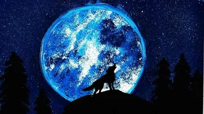 Нарисованный волк воющий на луну - 46 фото