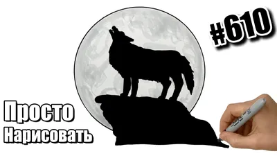 Обои на рабочий стол Силуэт волка, воющего на фоне полной луны, обои для  рабочего стола, скачать обои, обои бесплатно