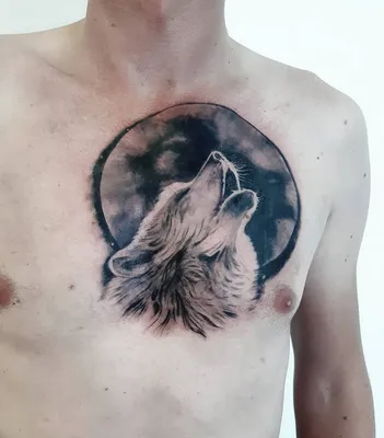 Бесплатное фото иллюстрация волка, воющего на луну, сгенерированный ai |  Премиум Фото