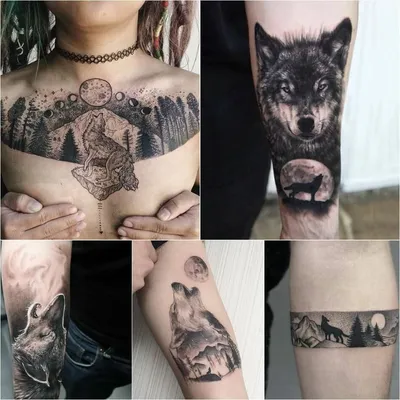 силуэт волка, собака арктического волка, футболка Three Wolf Moon, вой в  полнолуние, tshirt, млекопитающее, животные png | PNGWing