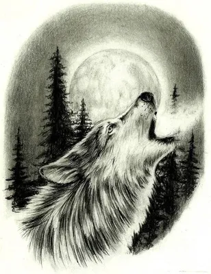 волк воет на луну лого. векторная иллюстрация Иллюстрация вектора -  иллюстрации насчитывающей вопль, икона: 222341770