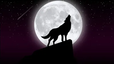 Татуировки Воющий Волк: символика и значение - fotovam.ru