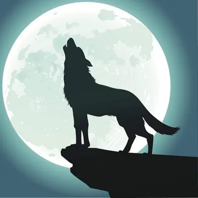 Волки воют на луну - фото и картинки abrakadabra.fun
