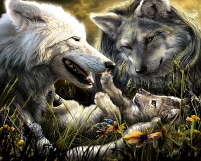 Скачать 1280x1024 волки, семья, рождение, любовь, малыш обои, картинки