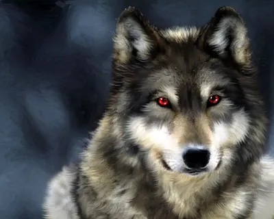 Картинки волк, хищник, животное, коричневый - обои 1280x1024, картинка  №438587